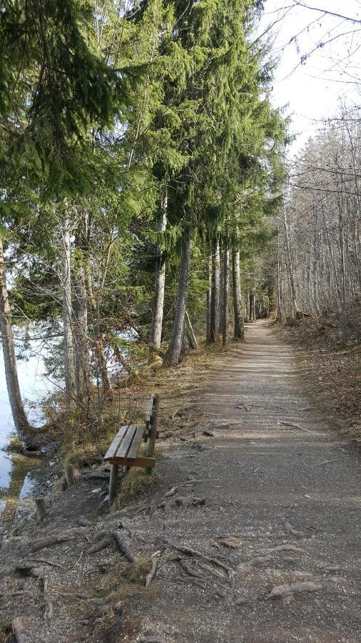 Fewo Friado Im Ferienpark Oa - Ohne Zusatzkosten Nach Anreise - Mit Hallenbad, W-Lan, Pkw-Garage, Kurtaxe Mit Allgaeu-Walser-Pass, Bett- Und Handtuch-Waesche Sowie End-Reinigung Мисен-Вилхамс Екстериор снимка